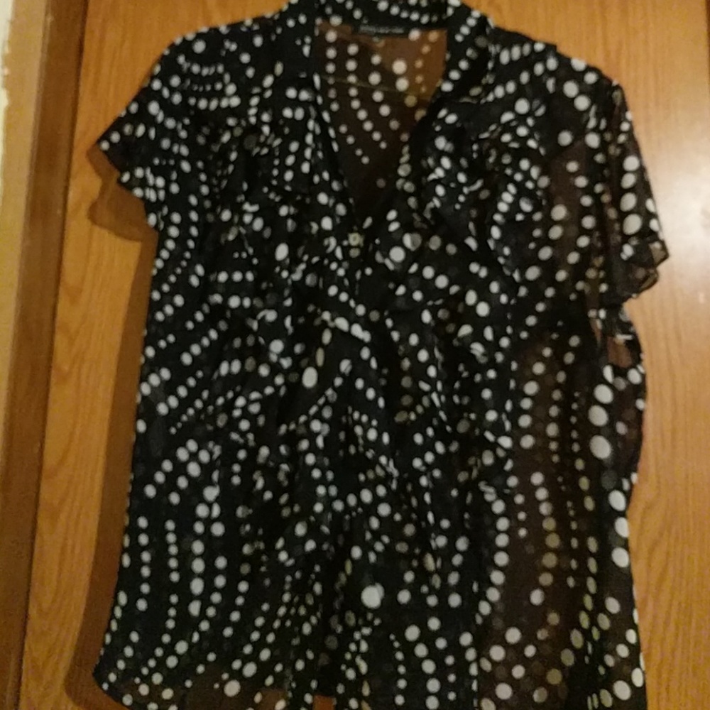 Plus size women's sheer blouse.